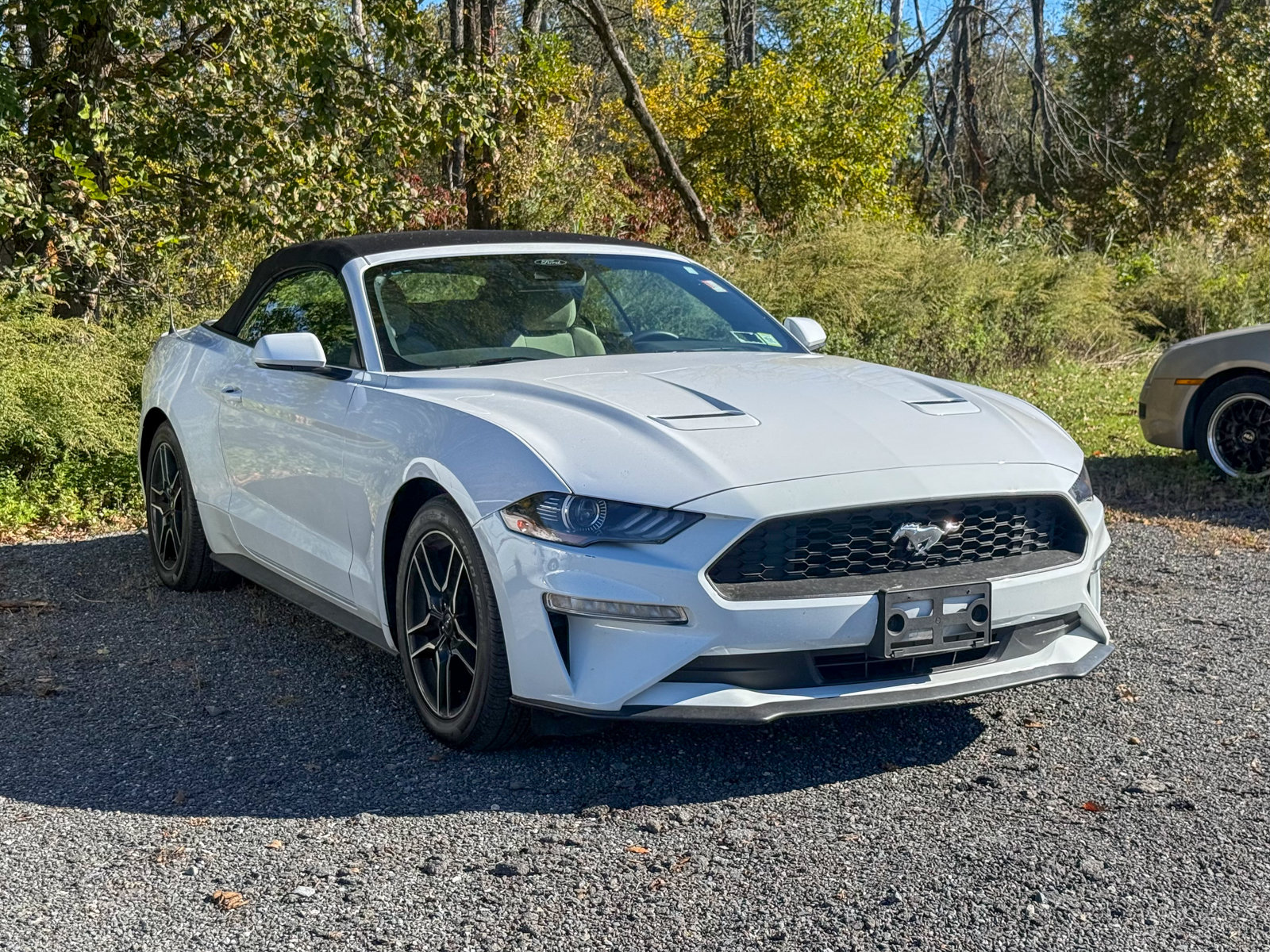 2022 Ford Mustang