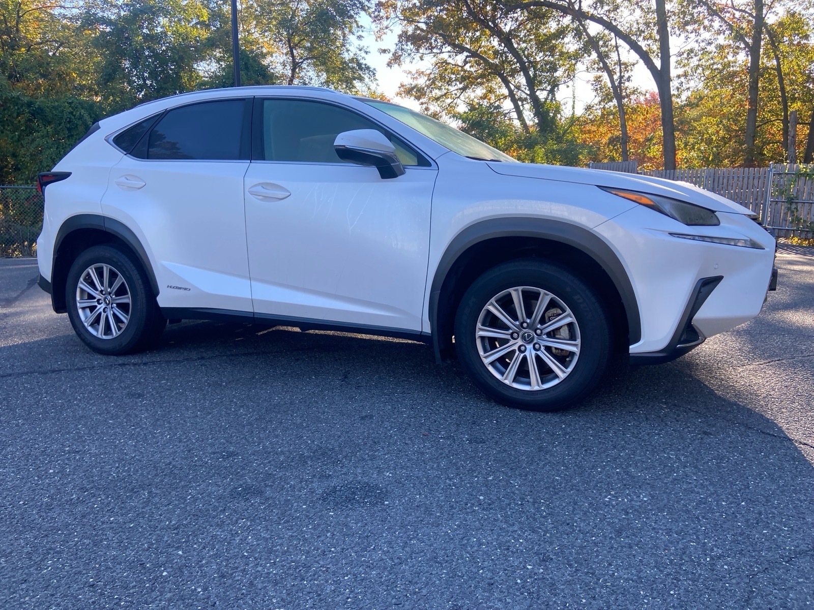 2021 Lexus NX 300h